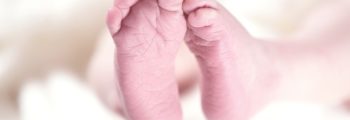 Ein Star wird geboren